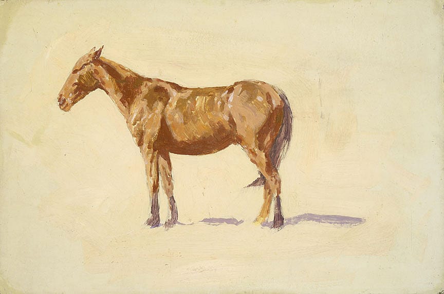 Untitled (horse study)