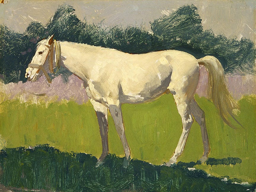 Untitled (horse study)