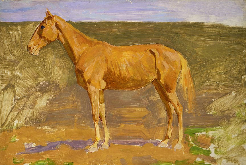 Untitled (horse study)