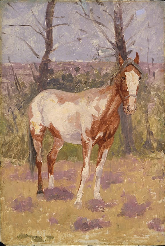 Untitled (horse study)