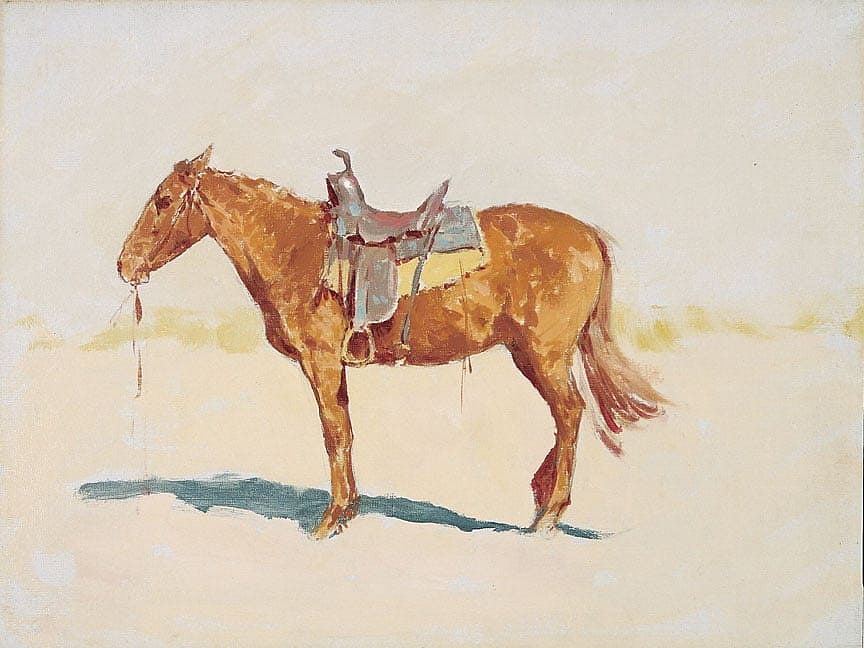 Untitled (horse study)