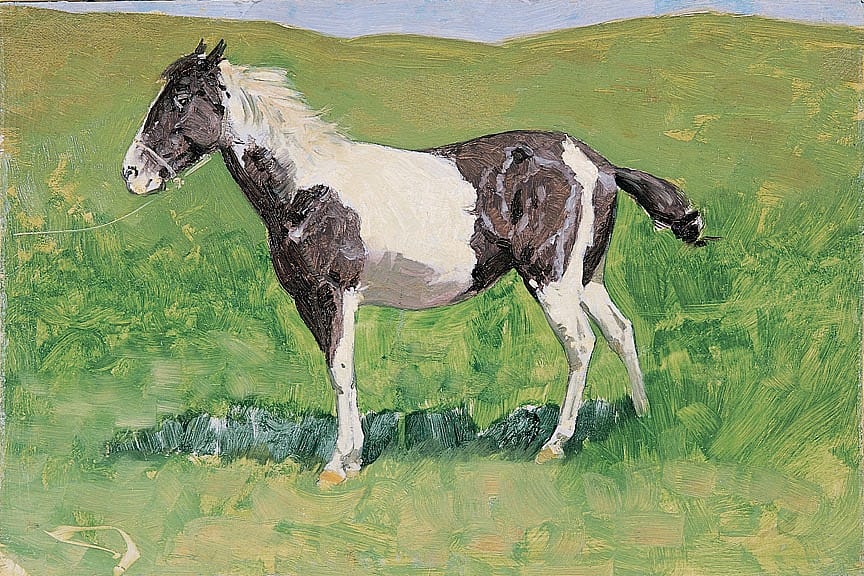 Untitled (horse study)