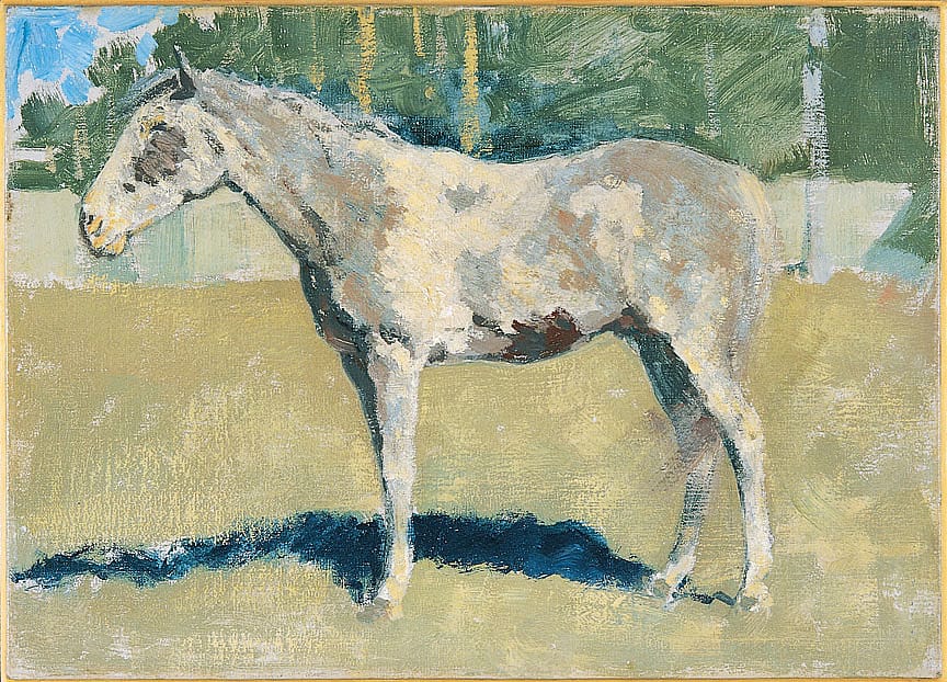 Untitled (horse study)