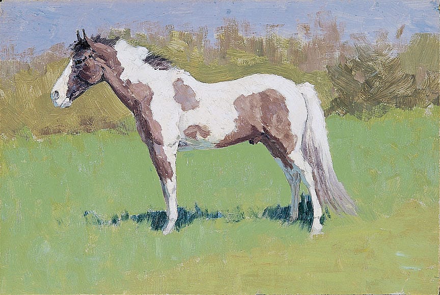 Untitled (horse study)