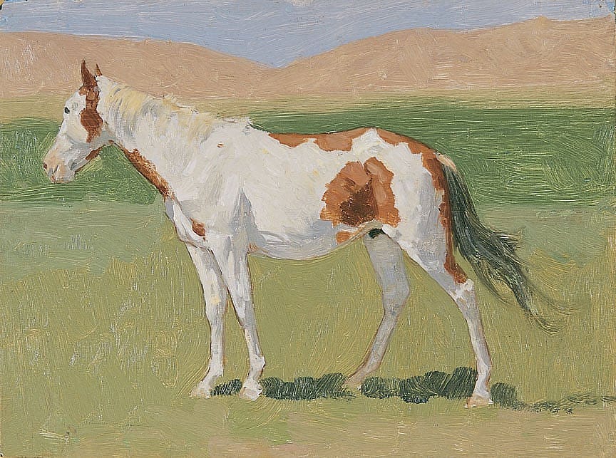 Untitled (horse study)