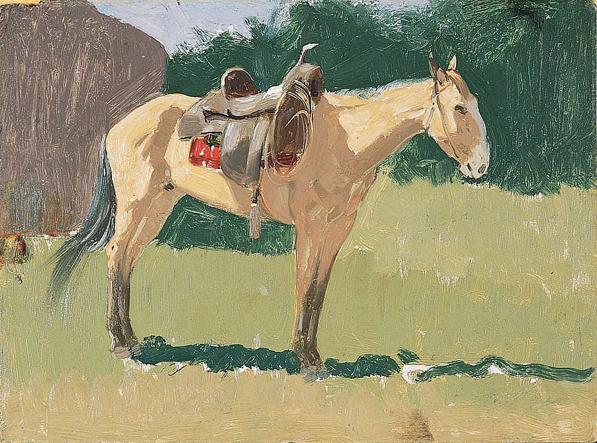 Untitled (horse study)