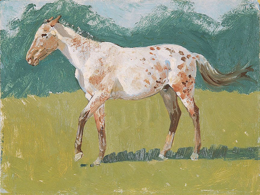 Untitled (horse study)