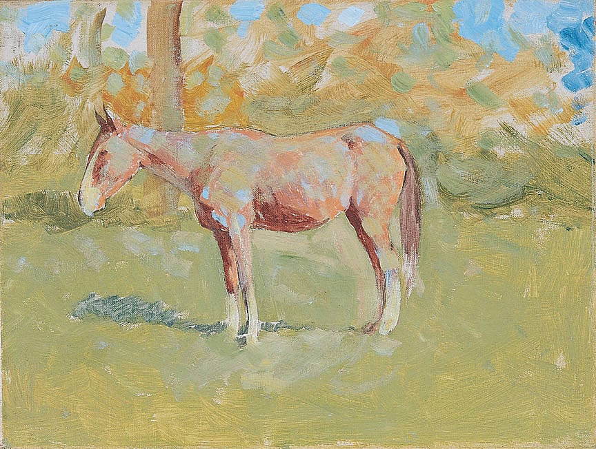 Untitled (horse study)
