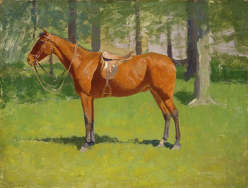 Untitled (horse study)