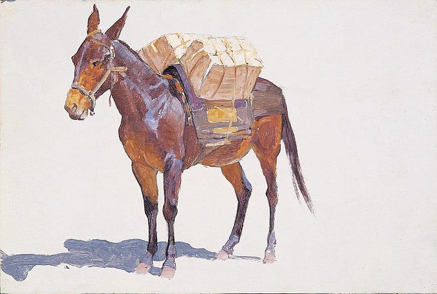 Untitled (pack-mule study)