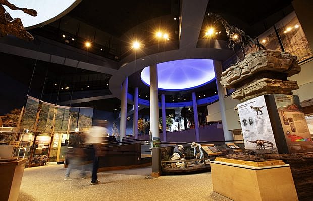 A fossil exhibit at the Draper Natural History Museum in Wyoming