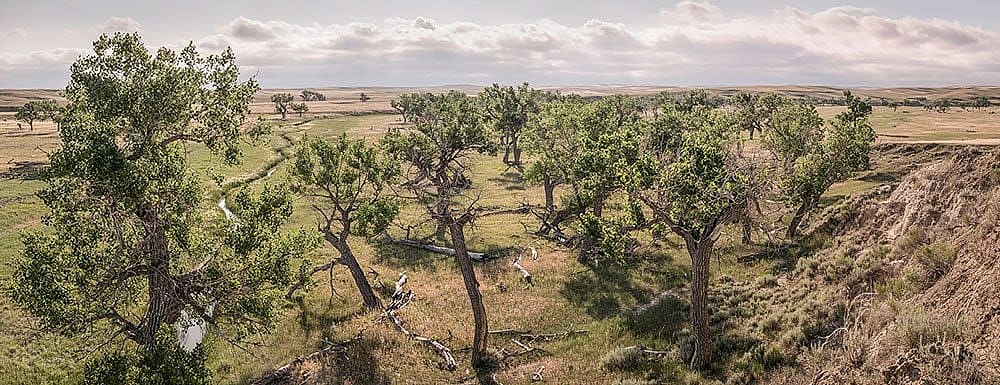 William Sutton's photo of Lance Creek, Niobrara County, from "Wyoming Grasslands."