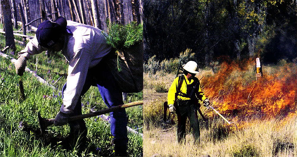 Federal agencies, such as the U.S. Forest Service, practice active management on public lands. U.S. Forest Service photo.