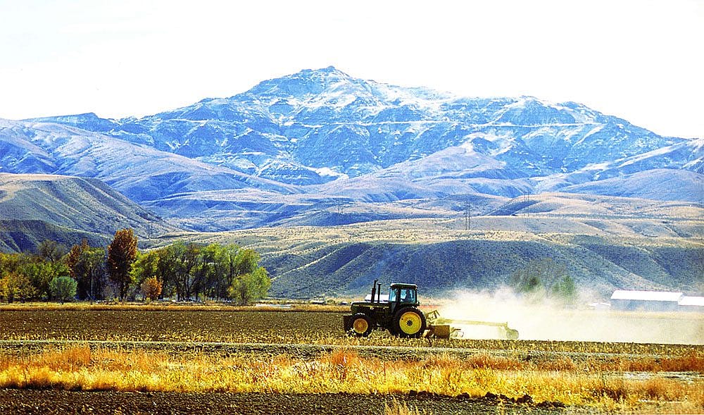 Tractor in the fields in springtime.