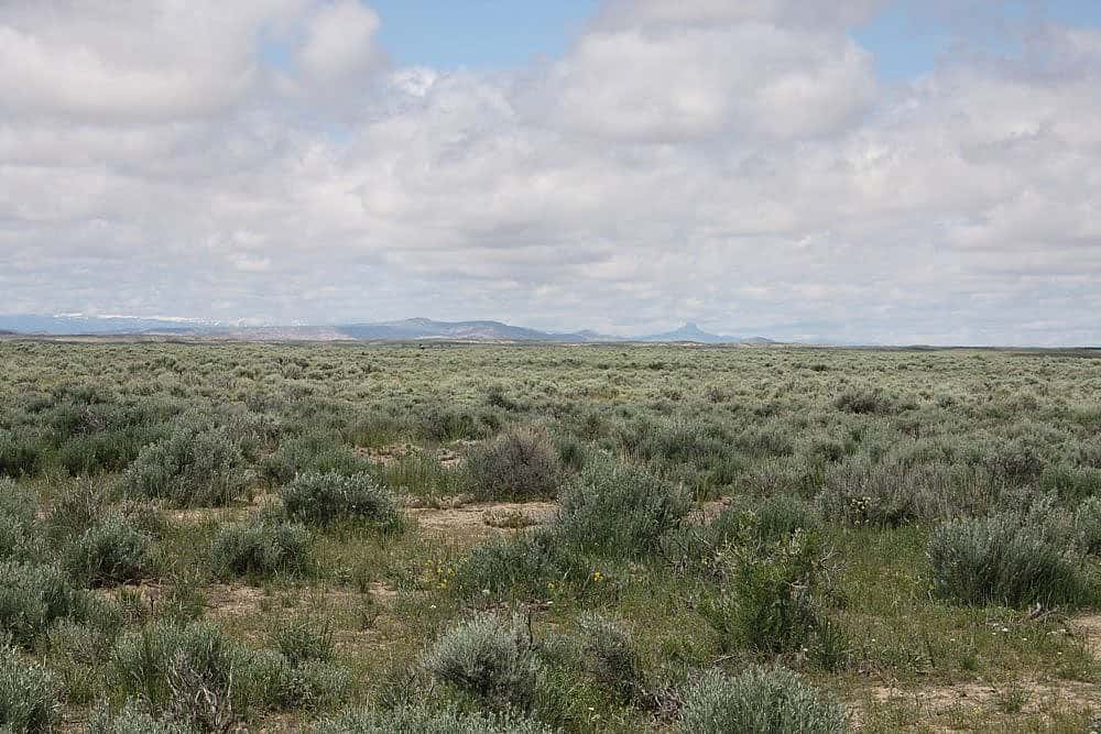 Big Horn Basin site, mid-May 2011