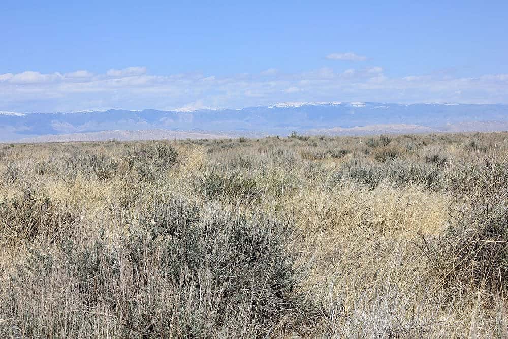 Bighorn Basin site, mid-May 2012.