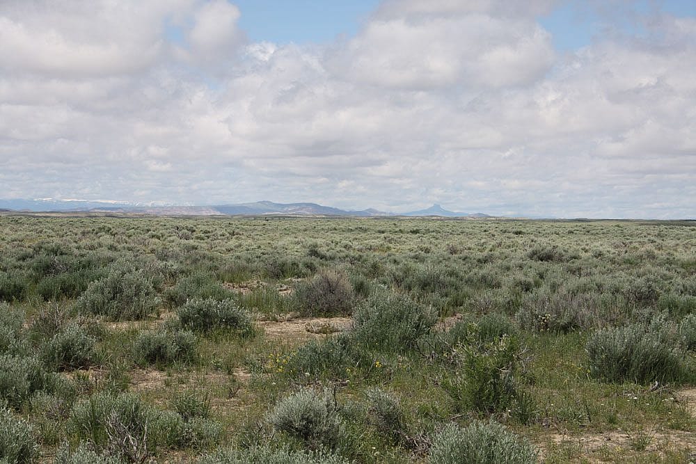 Big Horn Basin site, mid-May 2011