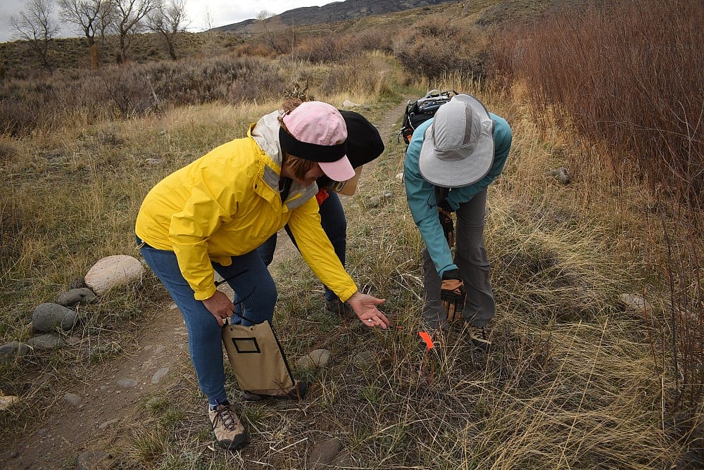 During training, phenology volunteers Jan, Judy, and Alice examine the wood's rose to see if leaf buds are starting to form.