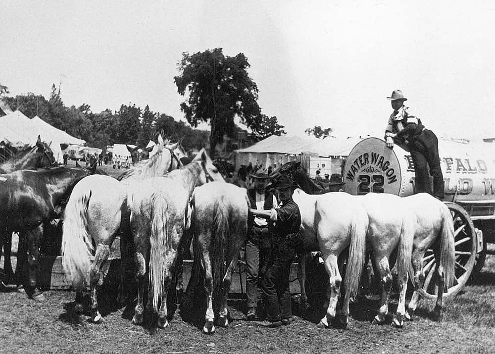 Watering the Wild West stock, ca. 1900. MS6 William F. Cody Collection, McCracken Research Library. P.6.0226