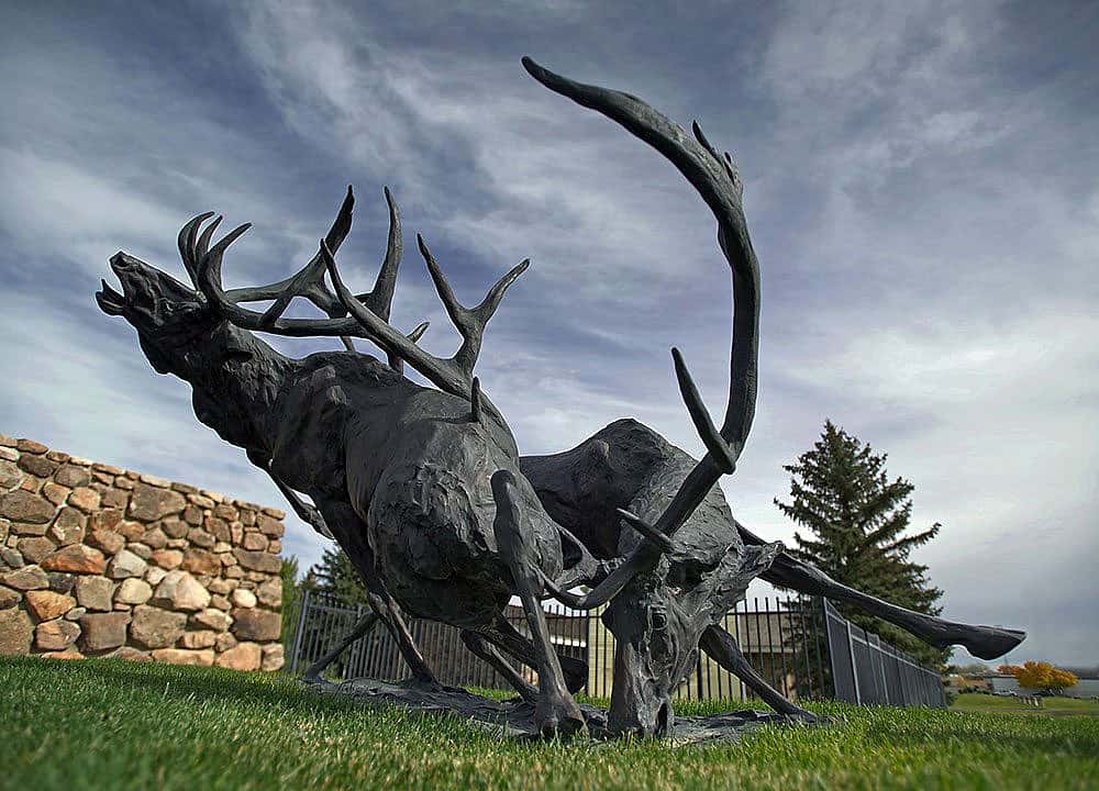 "Royal Challenge" by T.D. Kelsey. Outdoor sculpture at the Center of the West. 14.12.8
