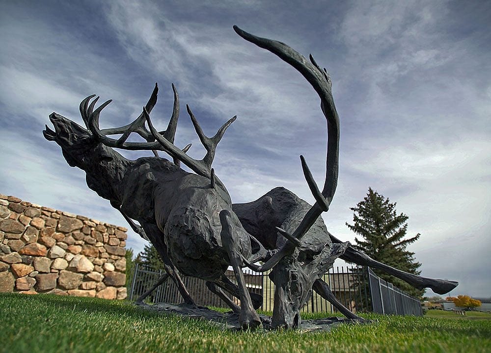 "Royal Challenge" by T.D. Kelsey. Outdoor sculpture at the Center of the West. 14.12.8