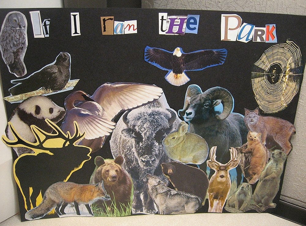 "If I ran the park" collage of animals