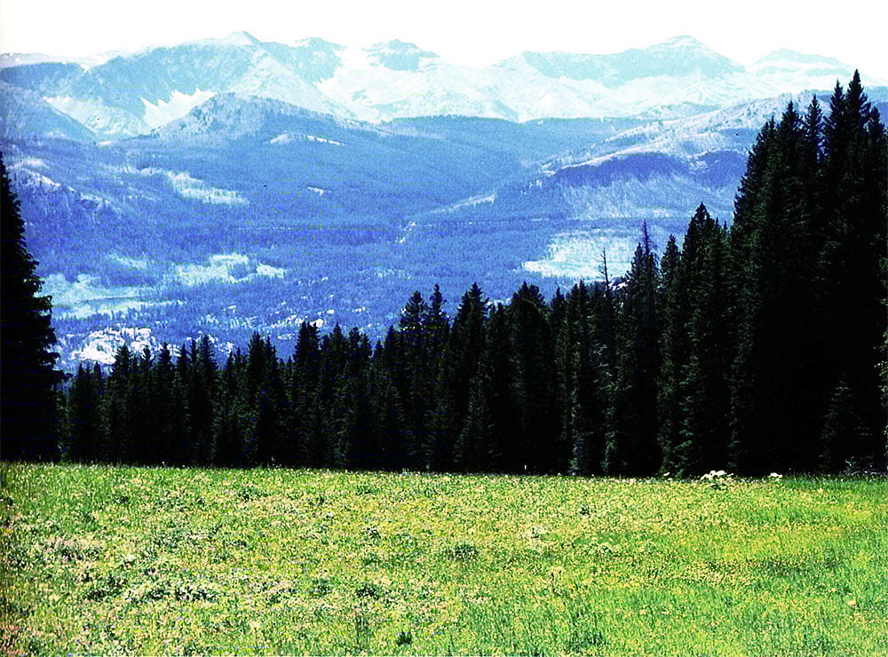 The range of elevation in the Greater Yellowstone region supports diverse plant and animal communities, and provides many challenges and opportunities for humans. C.R. Preston photo.