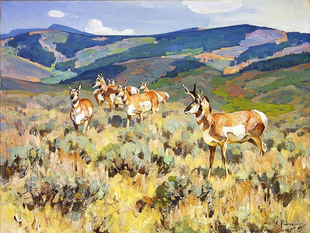 Carl Rungius, "In the Foothills (Antelope)" - and on my wall!