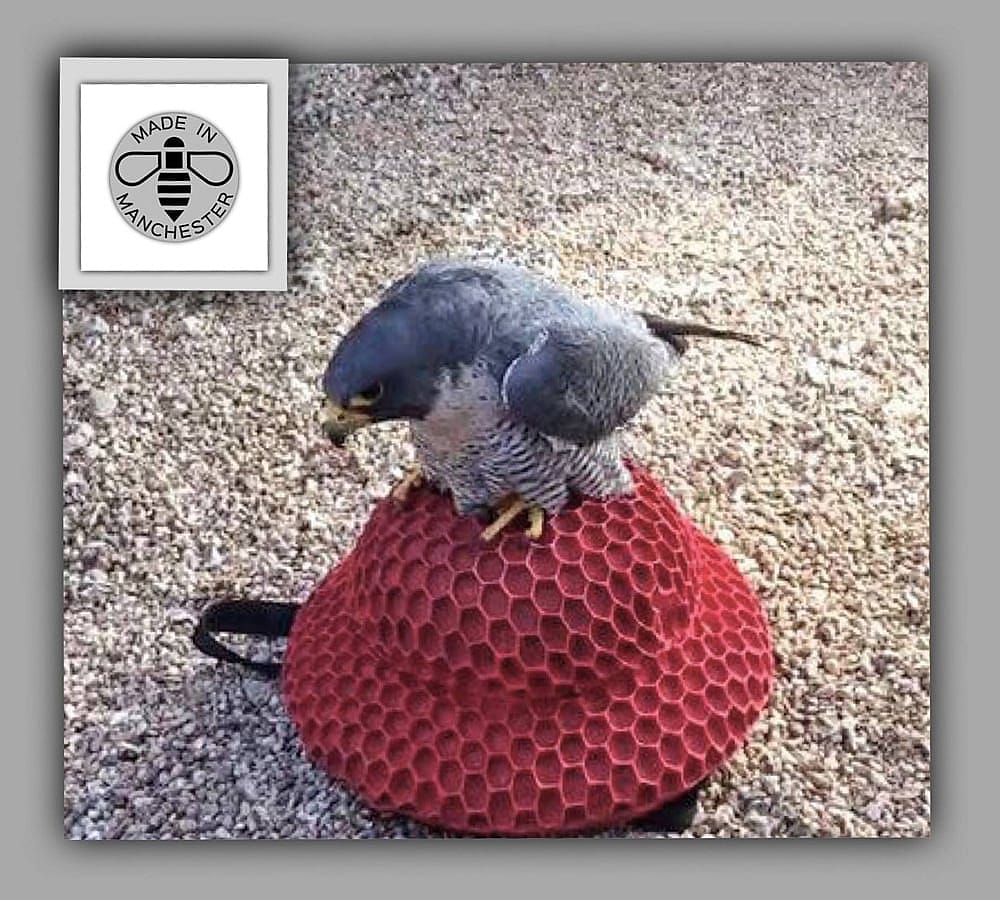 An example of what a peregrine on a hat is like. 