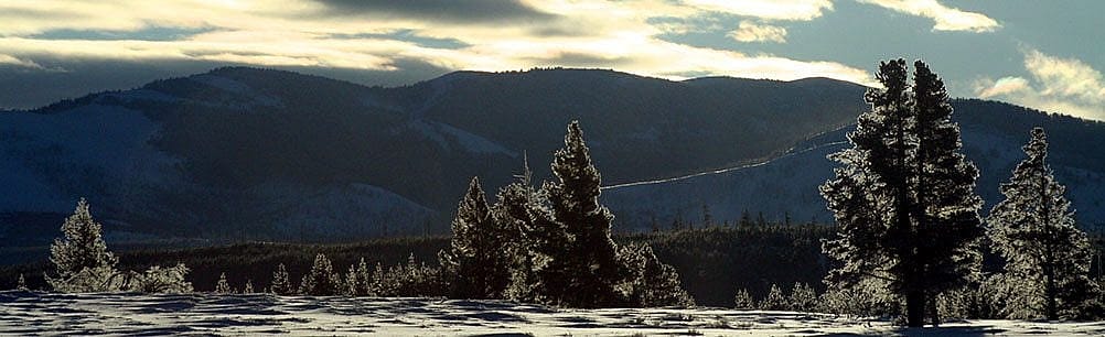 A winter landscape in Yellowstone National Park