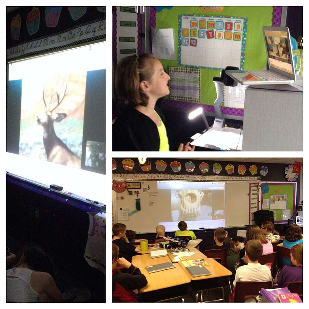 Animal Adaptations Skype Lesson; Skype in the classroom lessons