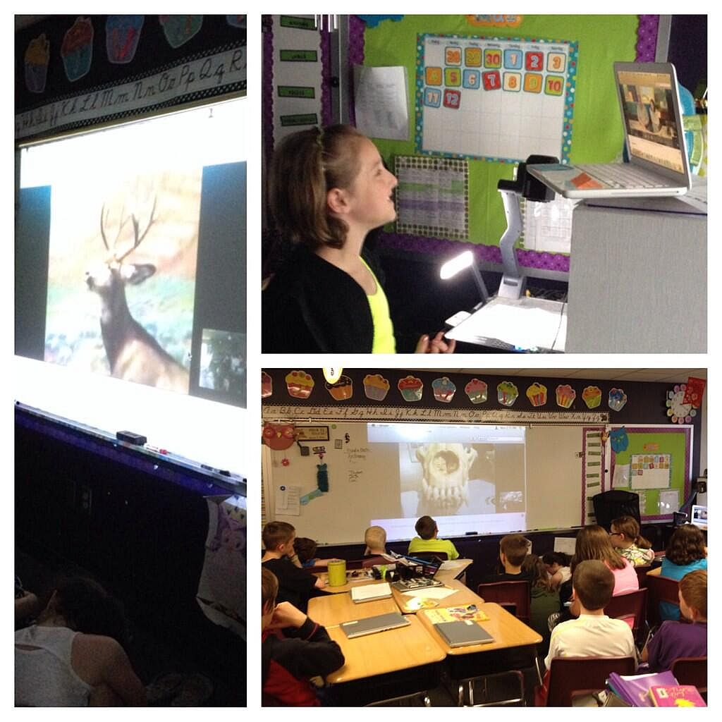 Animal Adaptations Skype Lesson; Skype in the classroom lessons