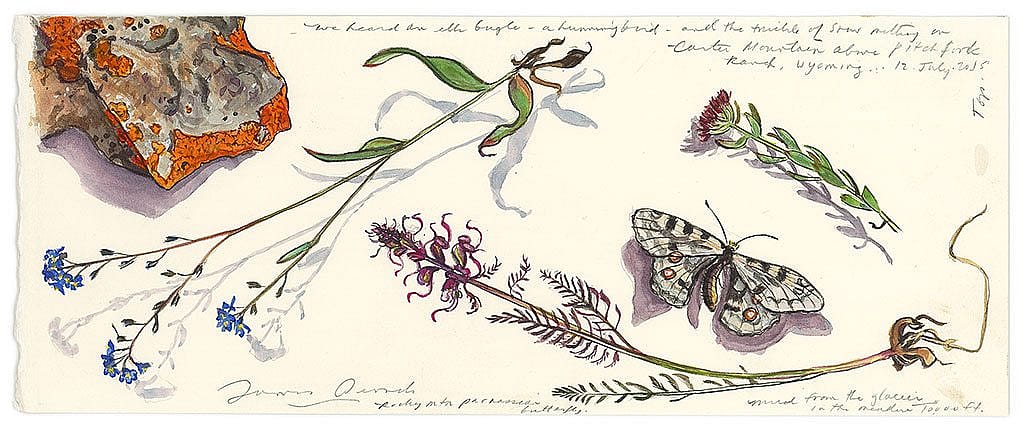 James Prosek. "On Carter Mountain above Pitchfork Ranch," 2015. Watercolor, graphite, and gouache on paper. L.486.2016.21 Art Scanning: Donald Sigovich, Westport, Connecticut.