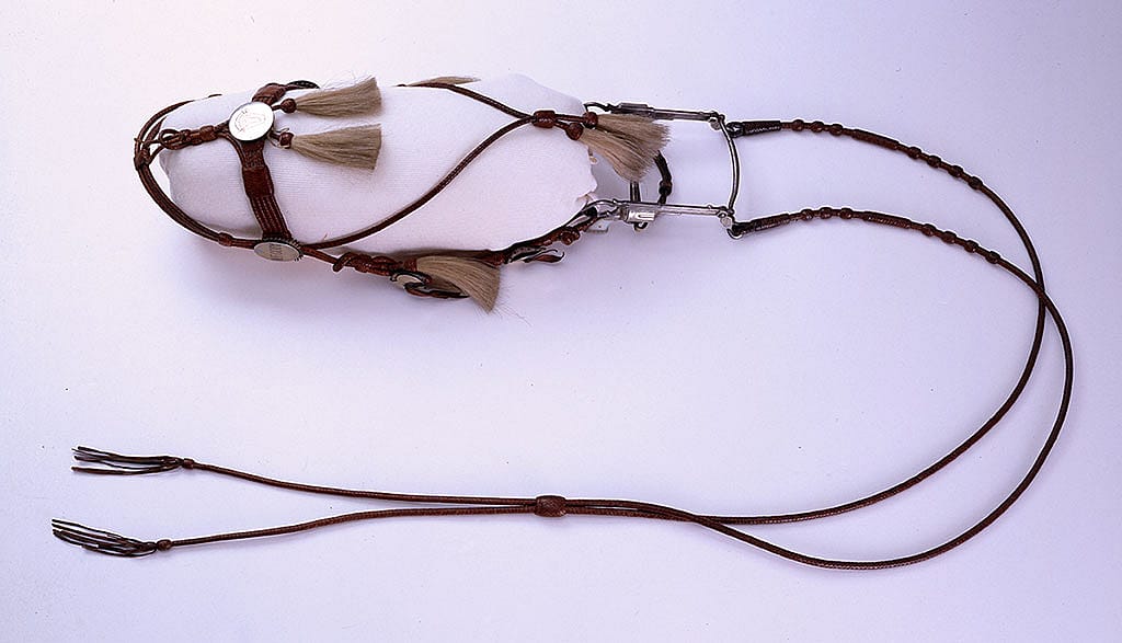 Bridle, ca. 1915. Museum Purchase. Mary Jester Allen Collection. 1.69.44A