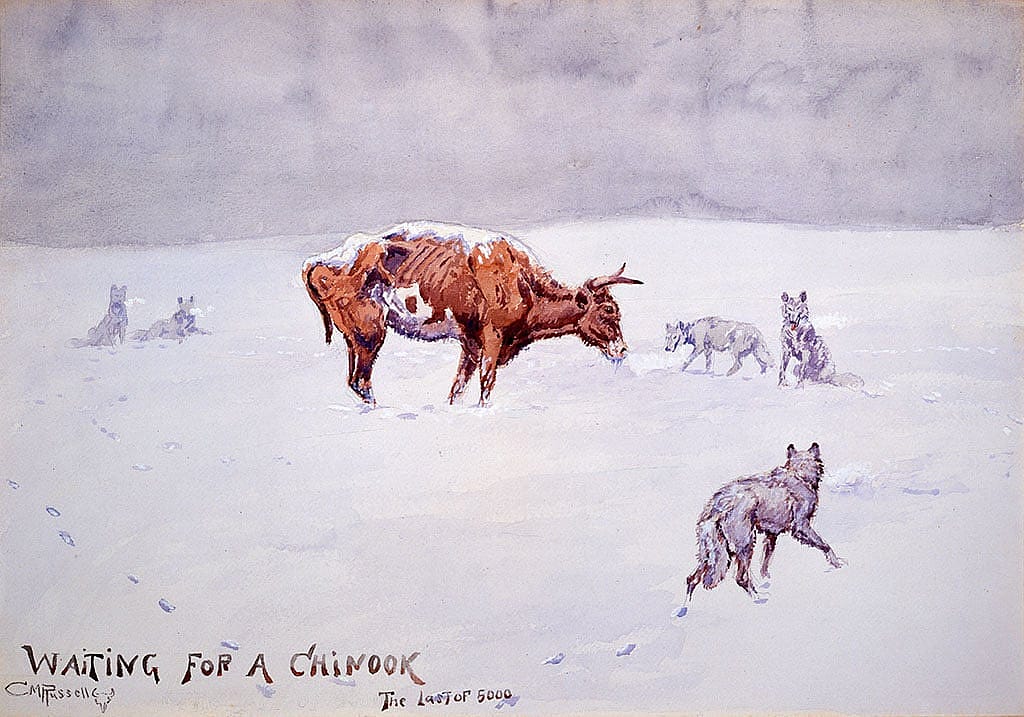 This painting represents the tragic condition of northern cattle in the winter of l 886-1887. Charles M. Russell (1864-1926). "Waiting for a Chinook/The Last of 5000," c. 1903. 88.60