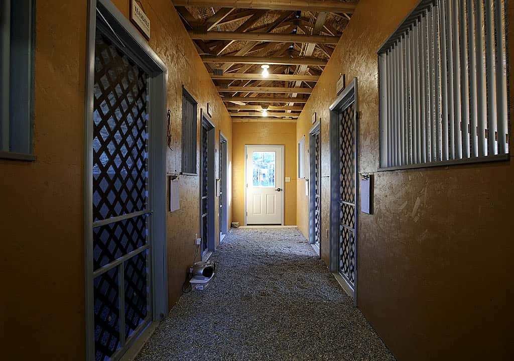 The mews can accommodate up to five birds.