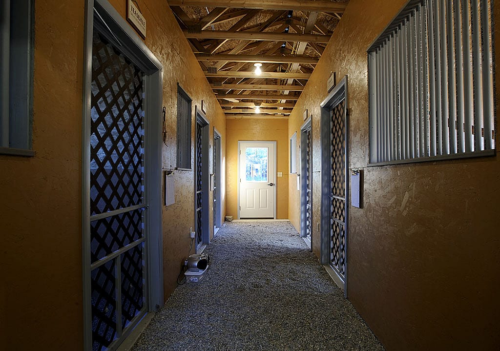 The mews can accommodate up to five birds.