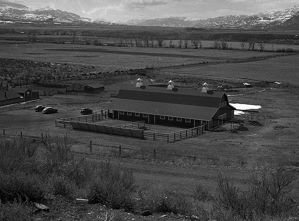 Diamond Bar Ranch, southwest of Cody, 1942. MS 89 Jack Richard Photograph Collection. PN.89.111.21196.1
