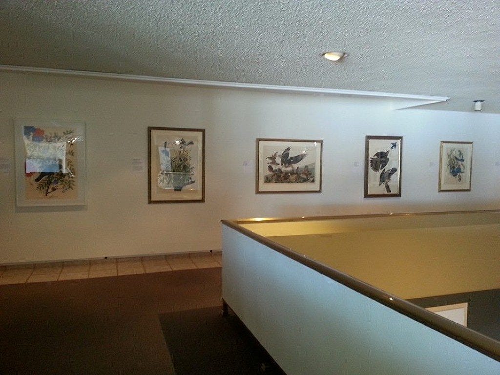 Audubon and Friends exhibition