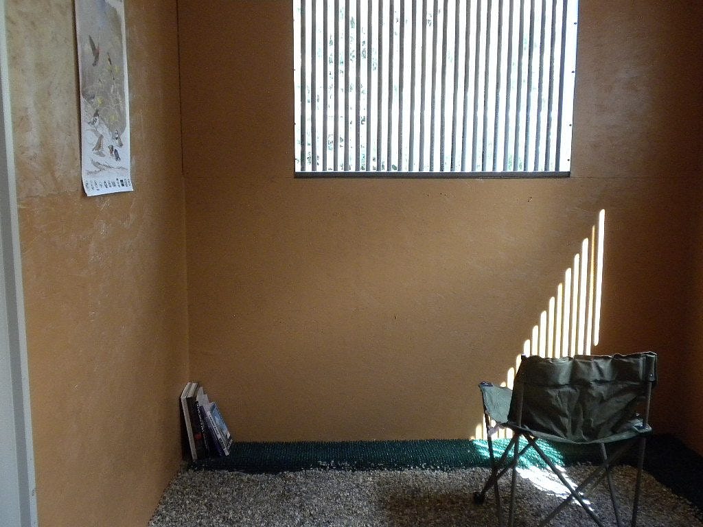 My "new office" is much closer to the birds. I love it!