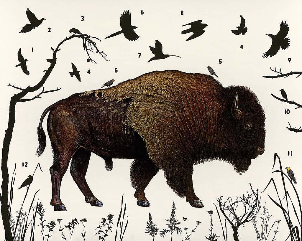 James Prosek. "American Bison (Wyoming)," 2014. Oil, acrylic, and mixed media on wood panel. Art Scanning: Donald Sigovich, Westport, Connecticut.