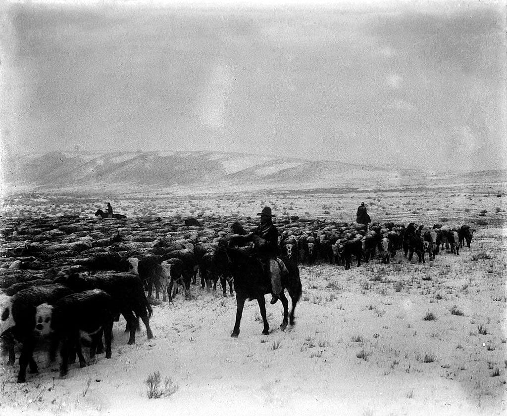 Charles J. Belden (1887-1966). A wintry day in the sagebrush country, c. 1920. MS 3 Charles Belden Collection, McCracken Research Library. P.67.599
