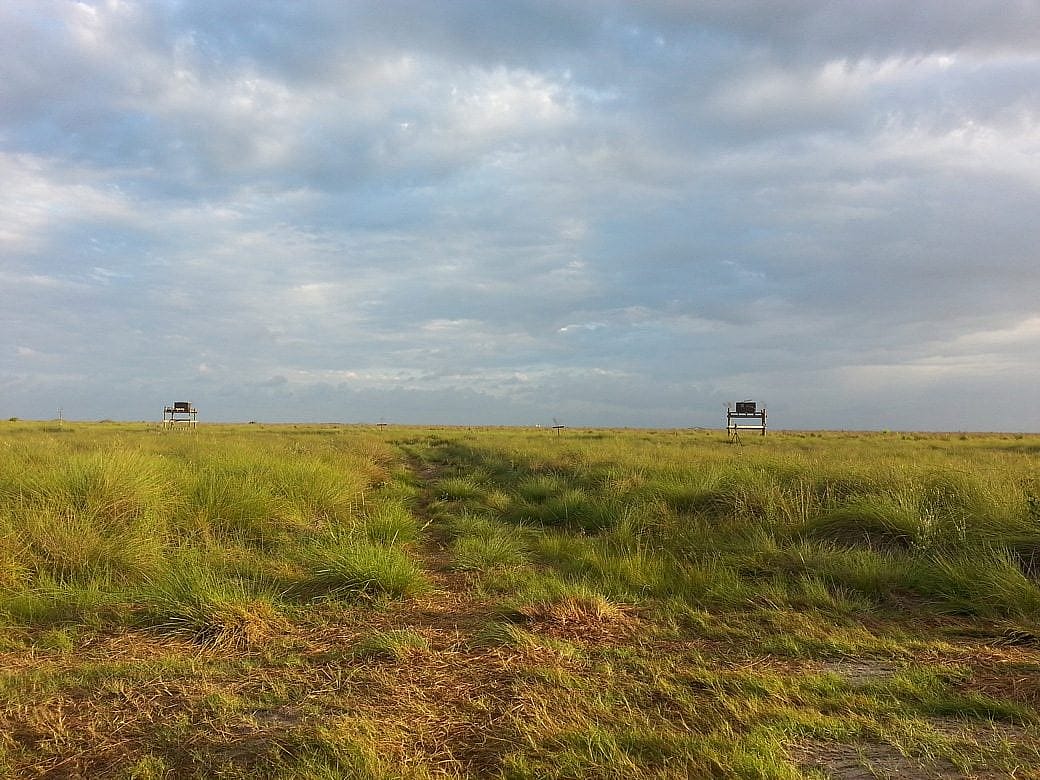 Two hack boxes sitting on raised platforms in a grassy prairie. 