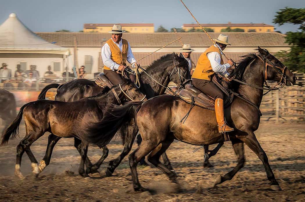 "Performance at the 1st National Raduno (Butteri Rally)," Spergolaia, 2015. Photograph by Gabrielle Saveri.