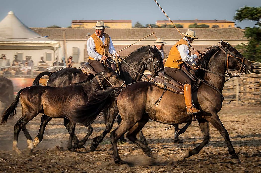 "Performance at the 1st National Raduno (Butteri Rally)," Spergolaia, 2015. Photograph by Gabrielle Saveri.