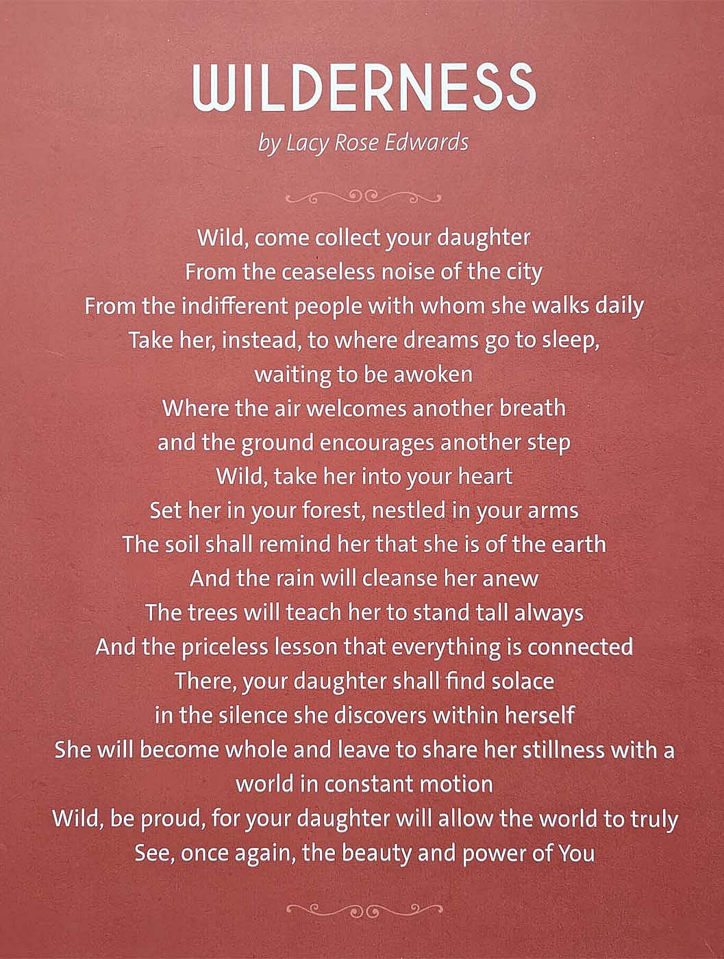 "Wilderness," by Center of the West Gallery Guard Lacy Rose Edwards, for the exhibit she curated in summer 2022.