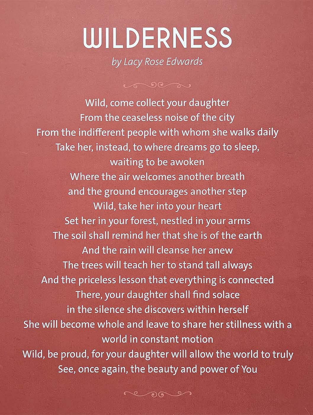 "Wilderness," by Center of the West Gallery Guard Lacy Rose Edwards, for the exhibit she curated in summer 2022.