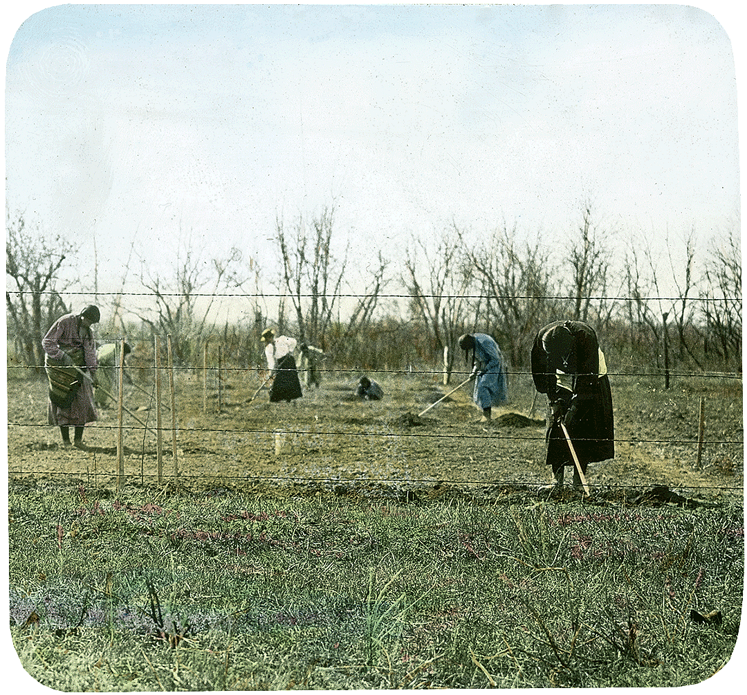 Group of Crow people working in garden with hoes, ca. 1903-1925. MS 95 William A. Petzoldt Lantern Slide Collection. LS.95.126