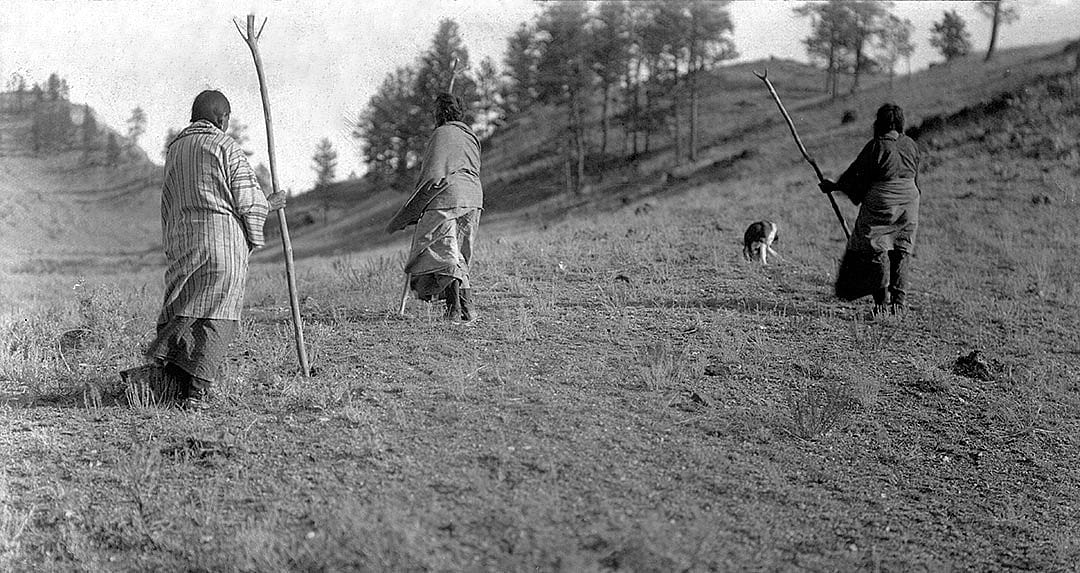 Northern Cheyenne women setting out to gather roots, ca. 1902-1911. MS 37 Elizabeth C. Grinnell Photograph Collection. P.37.2.3