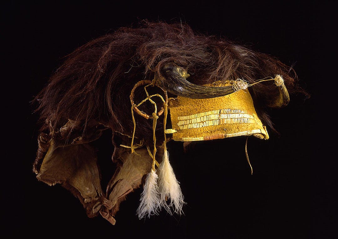 Buffalo Society headdress, ca. 1880. Buffalo skin, buffalo horn, feathers, sinew, porcupine quills. Chandler-Pohrt Collection, Gift of Mr. William D. Weiss. NA.203.358